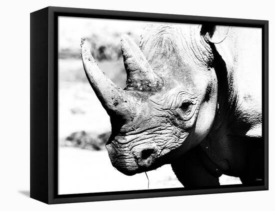 Rhinoceros-Gordon Semmens-Framed Premier Image Canvas