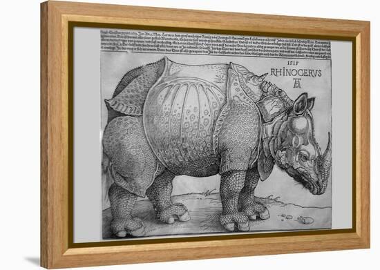 Rhinoceros-Albrecht Dürer-Framed Stretched Canvas