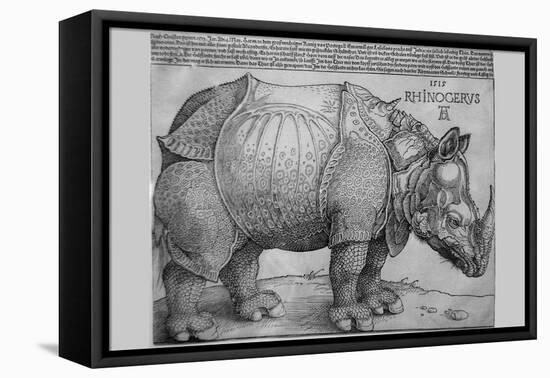 Rhinoceros-Albrecht Dürer-Framed Stretched Canvas