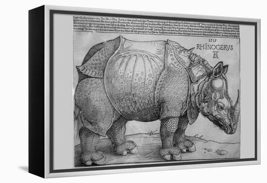 Rhinoceros-Albrecht Dürer-Framed Stretched Canvas