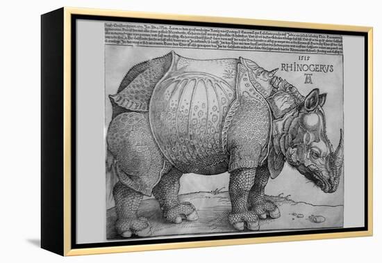 Rhinoceros-Albrecht Dürer-Framed Stretched Canvas