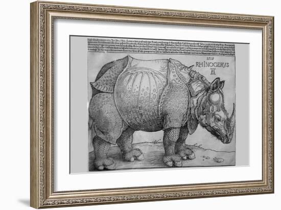 Rhinoceros-Albrecht Dürer-Framed Art Print