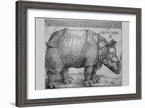 Rhinoceros-Albrecht Dürer-Framed Art Print