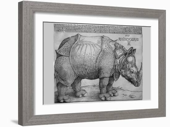 Rhinoceros-Albrecht Dürer-Framed Art Print