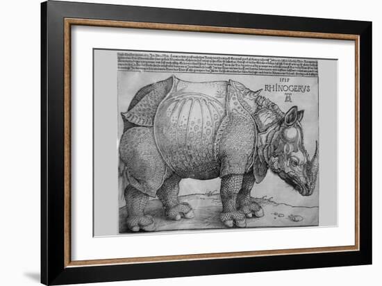 Rhinoceros-Albrecht Dürer-Framed Art Print