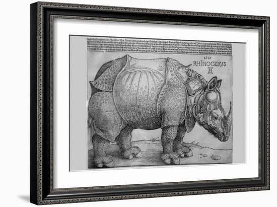 Rhinoceros-Albrecht Dürer-Framed Art Print