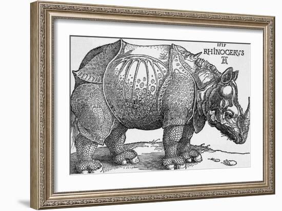 Rhinoceros-Albrecht Dürer-Framed Giclee Print