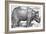 Rhinoceros-Albrecht Dürer-Framed Giclee Print