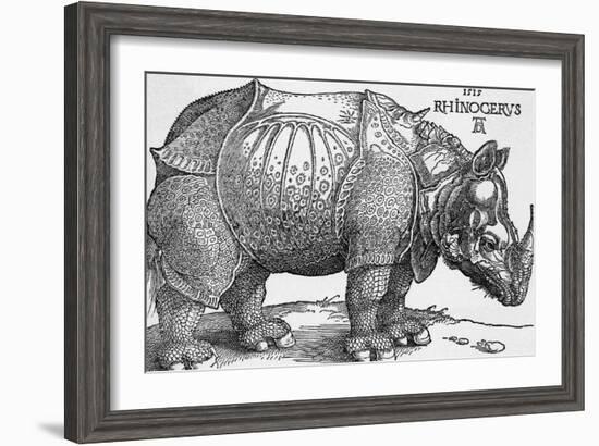 Rhinoceros-Albrecht Dürer-Framed Giclee Print