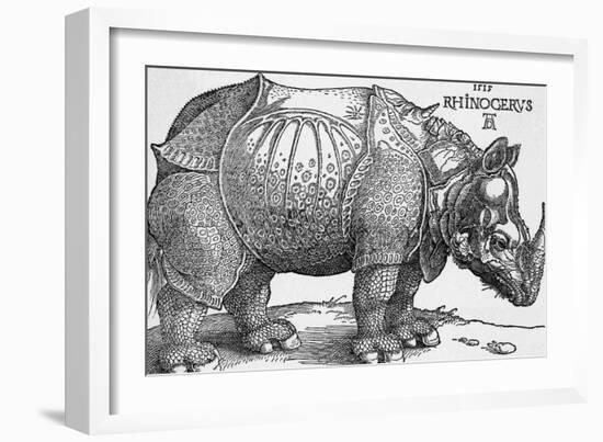 Rhinoceros-Albrecht Dürer-Framed Giclee Print