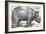 Rhinoceros-Albrecht Dürer-Framed Giclee Print