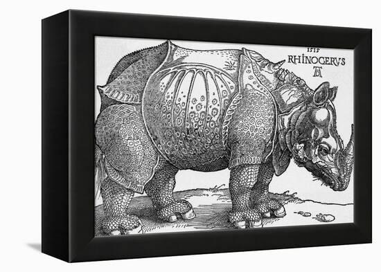 Rhinoceros-Albrecht Dürer-Framed Premier Image Canvas