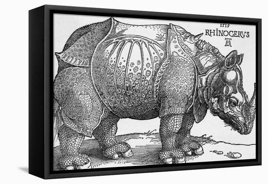 Rhinoceros-Albrecht Dürer-Framed Premier Image Canvas
