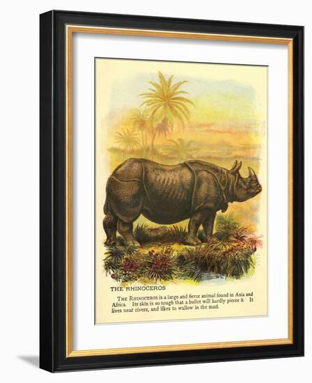 Rhinoceros-null-Framed Art Print