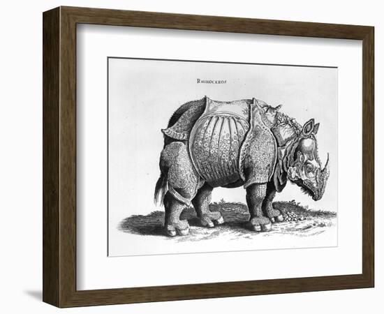 Rhinocerous, No. 76 from "Historia Animalium" by Conrad Gesner (1516-65) Published in July 1815-Albrecht Dürer-Framed Giclee Print