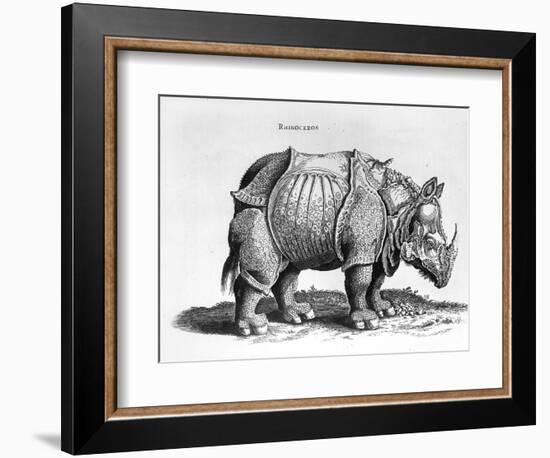 Rhinocerous, No. 76 from "Historia Animalium" by Conrad Gesner (1516-65) Published in July 1815-Albrecht Dürer-Framed Giclee Print