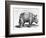 Rhinocerous, No. 76 from "Historia Animalium" by Conrad Gesner (1516-65) Published in July 1815-Albrecht Dürer-Framed Giclee Print