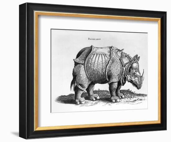 Rhinocerous, No. 76 from "Historia Animalium" by Conrad Gesner (1516-65) Published in July 1815-Albrecht Dürer-Framed Giclee Print