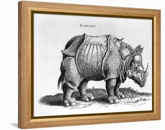Rhinocerous, No. 76 from "Historia Animalium" by Conrad Gesner (1516-65) Published in July 1815-Albrecht Dürer-Framed Premier Image Canvas