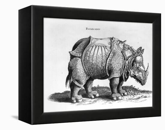 Rhinocerous, No. 76 from "Historia Animalium" by Conrad Gesner (1516-65) Published in July 1815-Albrecht Dürer-Framed Premier Image Canvas