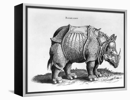 Rhinocerous, No. 76 from "Historia Animalium" by Conrad Gesner (1516-65) Published in July 1815-Albrecht Dürer-Framed Premier Image Canvas