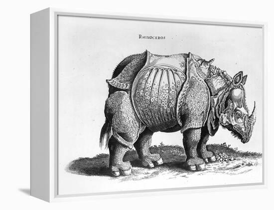 Rhinocerous, No. 76 from "Historia Animalium" by Conrad Gesner (1516-65) Published in July 1815-Albrecht Dürer-Framed Premier Image Canvas