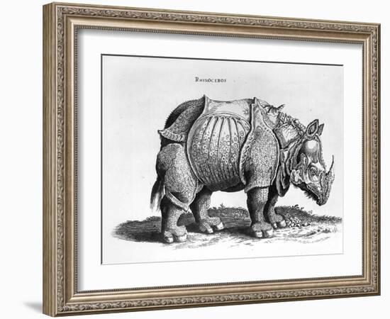 Rhinocerous, No. 76 from "Historia Animalium" by Conrad Gesner (1516-65) Published in July 1815-Albrecht Dürer-Framed Giclee Print