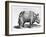 Rhinocerous, No. 76 from "Historia Animalium" by Conrad Gesner (1516-65) Published in July 1815-Albrecht Dürer-Framed Giclee Print