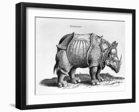 Rhinocerous, No. 76 from "Historia Animalium" by Conrad Gesner (1516-65) Published in July 1815-Albrecht Dürer-Framed Giclee Print