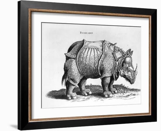 Rhinocerous, No. 76 from "Historia Animalium" by Conrad Gesner (1516-65) Published in July 1815-Albrecht Dürer-Framed Giclee Print