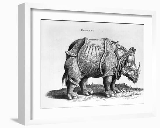 Rhinocerous, No. 76 from "Historia Animalium" by Conrad Gesner (1516-65) Published in July 1815-Albrecht Dürer-Framed Giclee Print