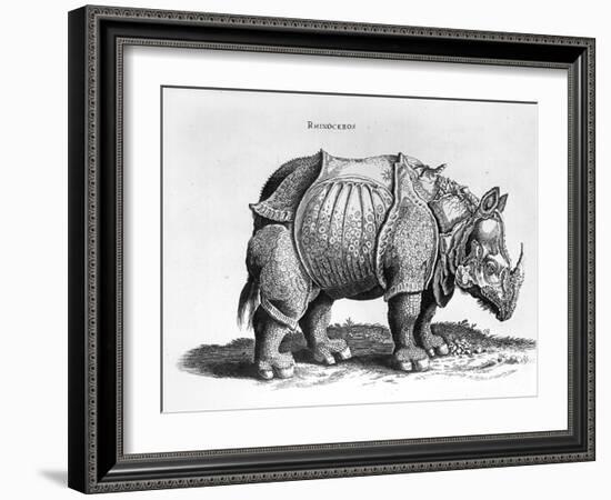 Rhinocerous, No. 76 from "Historia Animalium" by Conrad Gesner (1516-65) Published in July 1815-Albrecht Dürer-Framed Giclee Print