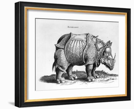 Rhinocerous, No. 76 from "Historia Animalium" by Conrad Gesner (1516-65) Published in July 1815-Albrecht Dürer-Framed Giclee Print