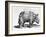 Rhinocerous, No. 76 from "Historia Animalium" by Conrad Gesner (1516-65) Published in July 1815-Albrecht Dürer-Framed Giclee Print