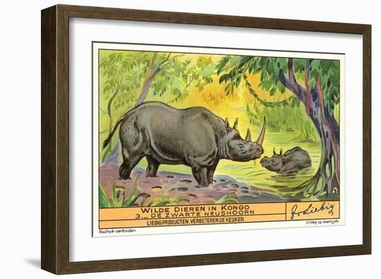 Rhinos in the Congo-null-Framed Art Print