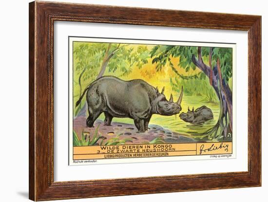 Rhinos in the Congo-null-Framed Art Print