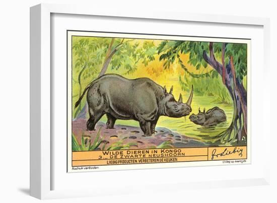 Rhinos in the Congo-null-Framed Art Print