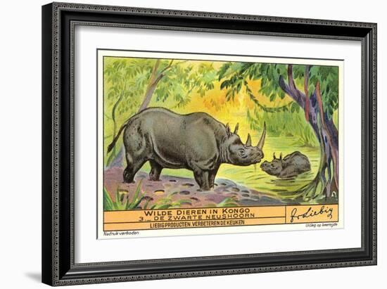 Rhinos in the Congo-null-Framed Art Print