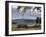 Rhinos Rest under the Shade of a Tree in Lake Nakuru National Park, Kenya, East Africa, Africa-Andrew Mcconnell-Framed Photographic Print