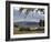 Rhinos Rest under the Shade of a Tree in Lake Nakuru National Park, Kenya, East Africa, Africa-Andrew Mcconnell-Framed Photographic Print