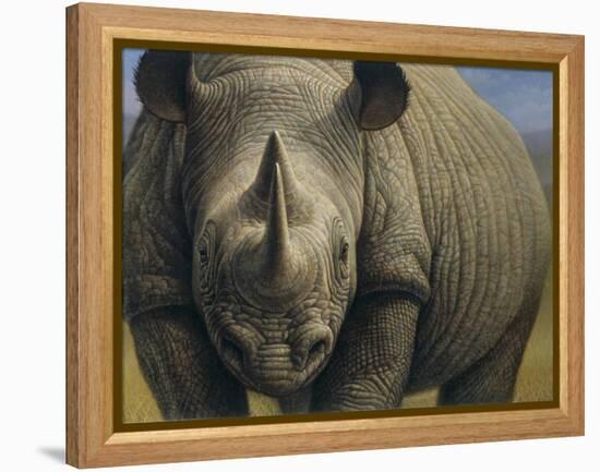 Rhinos-Dan Craig-Framed Premier Image Canvas