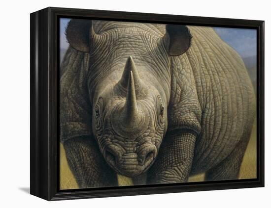 Rhinos-Dan Craig-Framed Premier Image Canvas