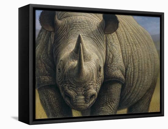Rhinos-Dan Craig-Framed Premier Image Canvas