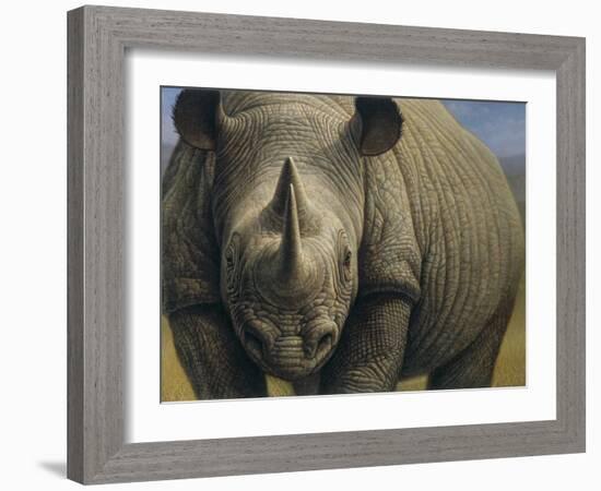 Rhinos-Dan Craig-Framed Giclee Print