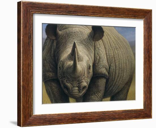 Rhinos-Dan Craig-Framed Giclee Print