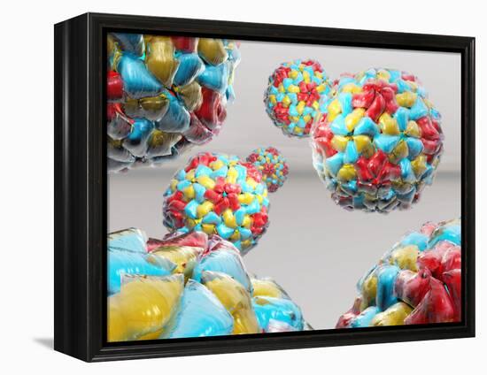 Rhinovirus Particles-Laguna Design-Framed Premier Image Canvas