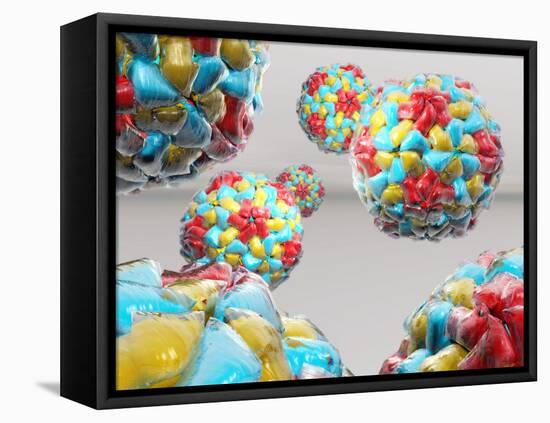 Rhinovirus Particles-Laguna Design-Framed Premier Image Canvas