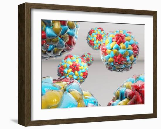 Rhinovirus Particles-Laguna Design-Framed Photographic Print