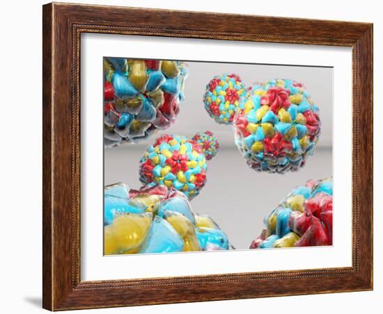 Rhinovirus Particles-Laguna Design-Framed Photographic Print