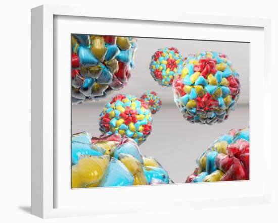 Rhinovirus Particles-Laguna Design-Framed Photographic Print